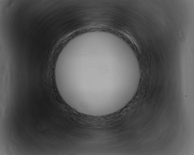 X0000099570920200805160723