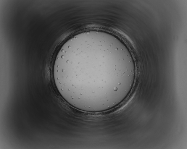 X0000099570921200805160723