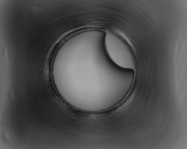 X0000099570923200805160723