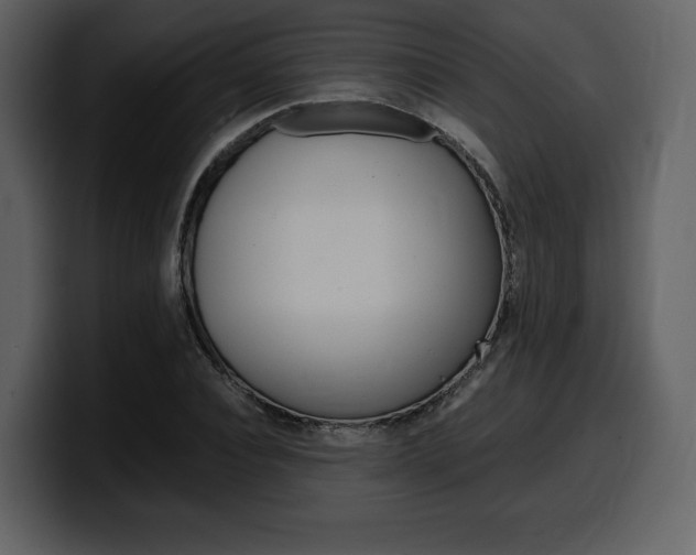 X0000099570928200805160723