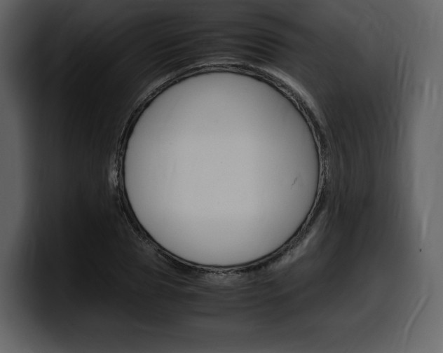 X0000099570929200805160723