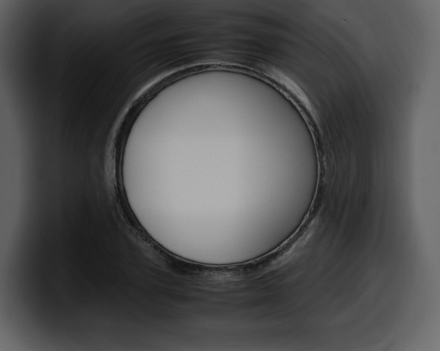 X0000099570931200805160723