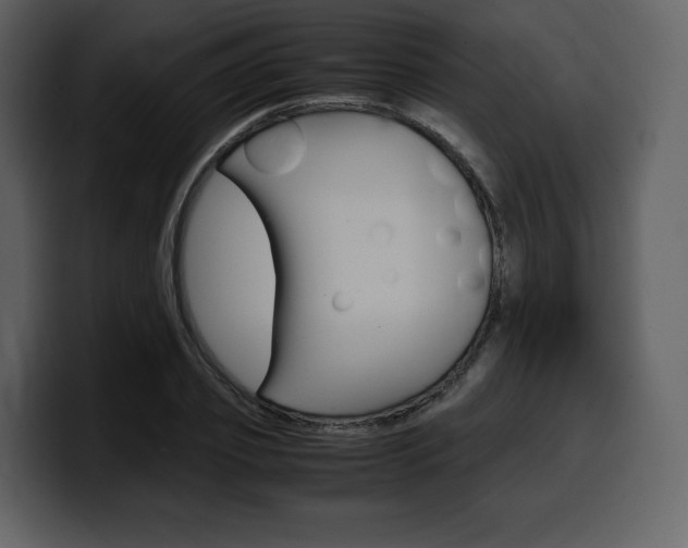 X0000099570933200805160723