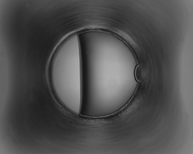 X0000099570934200805160723