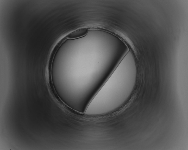 X0000099570936200805160723