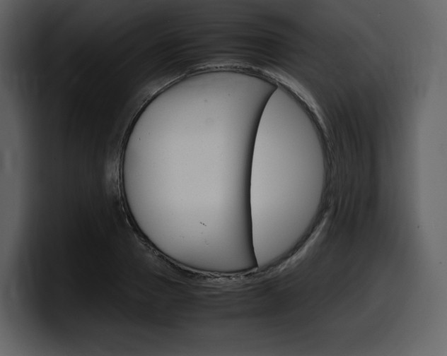 X0000099570937200805160723