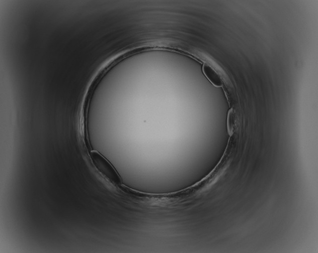 X0000099570940200805160723