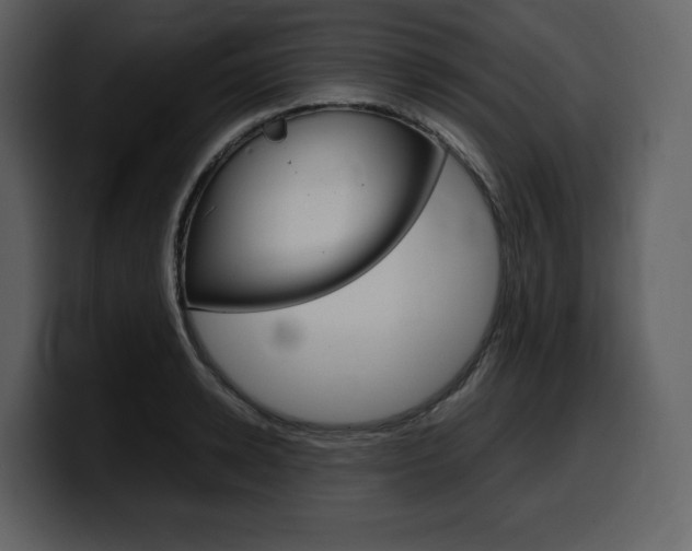 X0000099570942200805160723