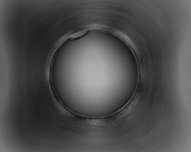 X0000099570946200805160723