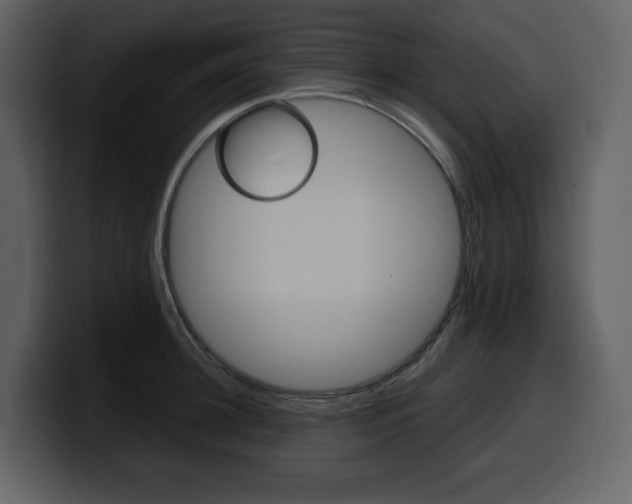 X0000099570948200805160723