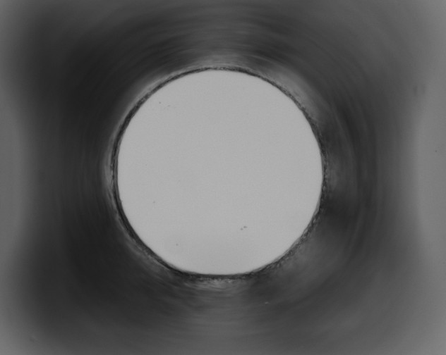 X0000099570950200805160723