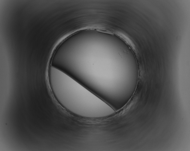 X0000099570952200805160723