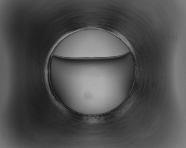 X0000099570955200805160723