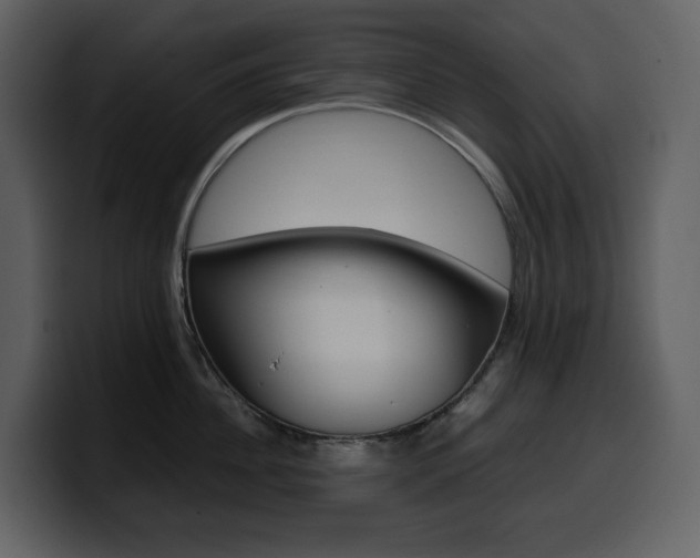 X0000099570956200805160723