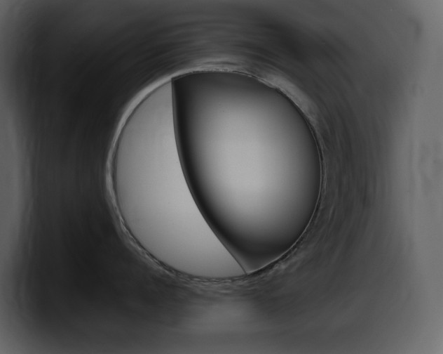 X0000099570960200805160723