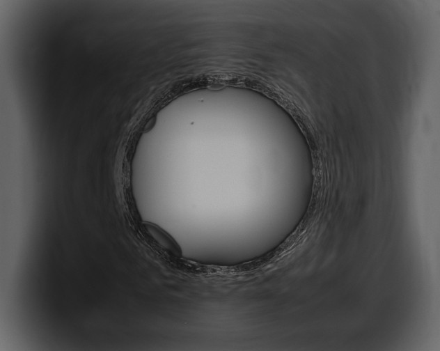 X0000099570961200805160722