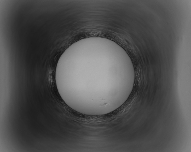 X0000099570962200805160722