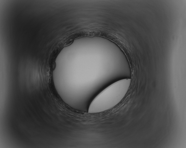 X0000099570963200805160722
