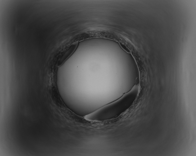X0000099570965200805160722