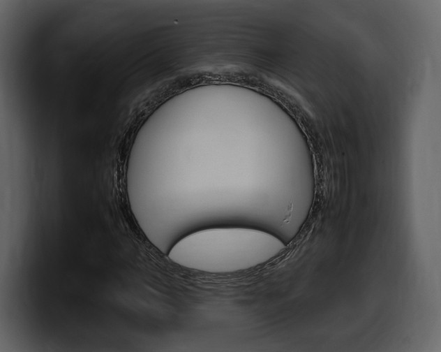 X0000099570966200805160722