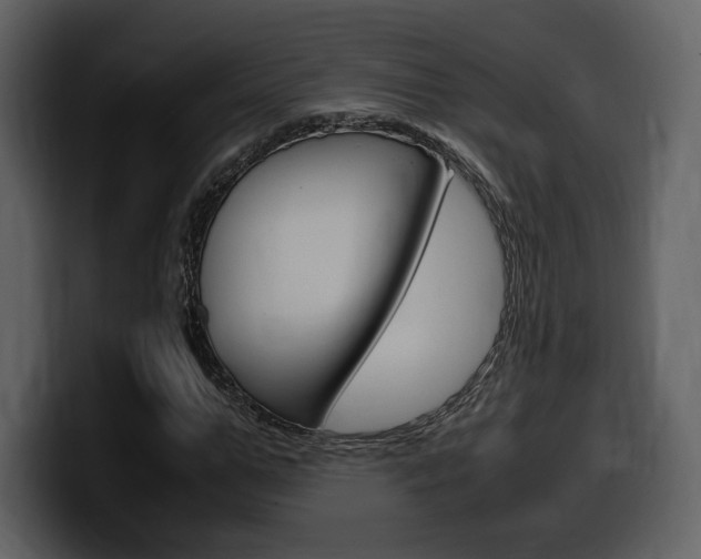 X0000099570967200805160722