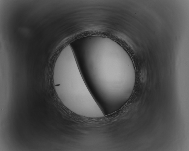 X0000099570968200805160722