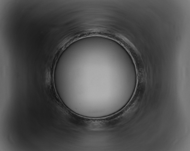 X0000099570969200805160722
