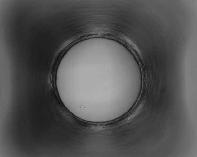 X0000099570970200805160722