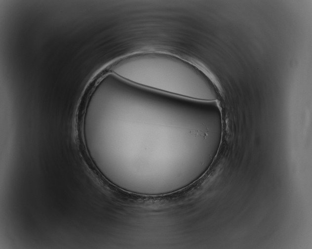 X0000099570972200805160722