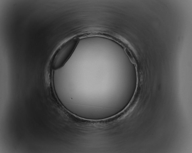 X0000099570973200805160722