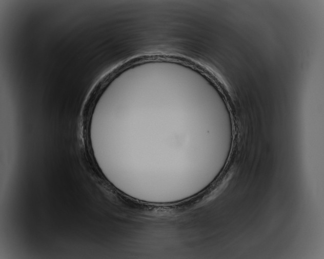 X0000099570974200805160722