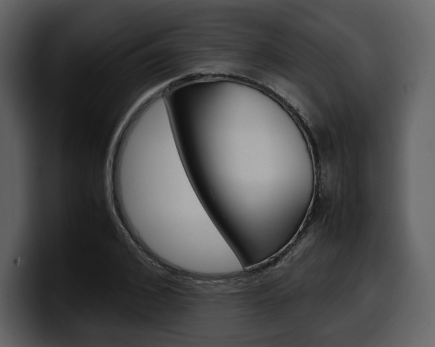 X0000099570976200805160722