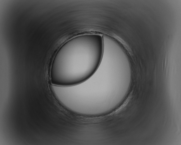 X0000099570977200805160722