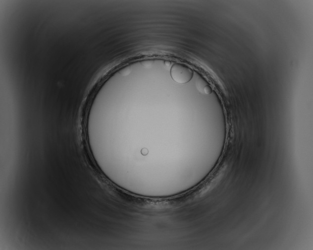 X0000099570978200805160722