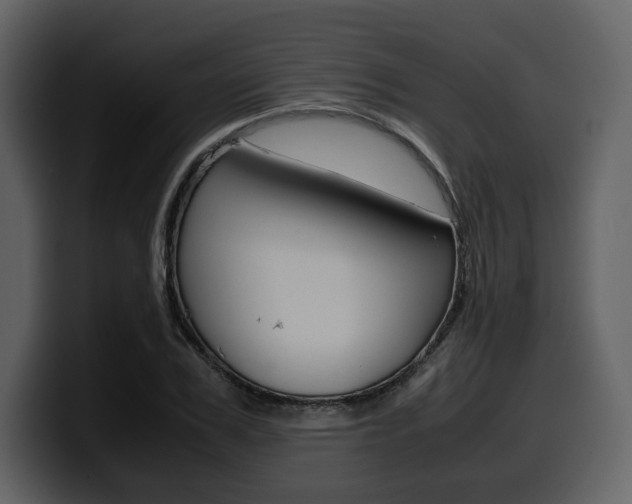 X0000099570979200805160722