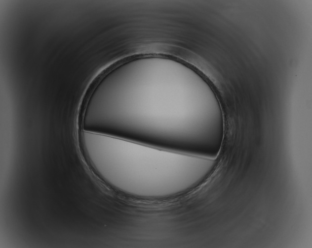 X0000099570980200805160722