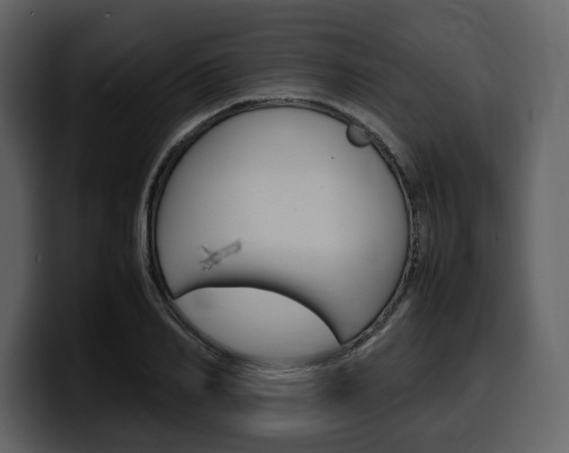 X0000099570982200805160722