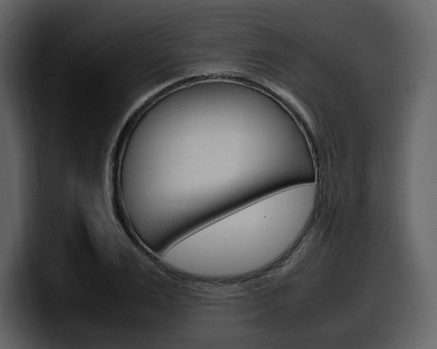 X0000099570983200805160722