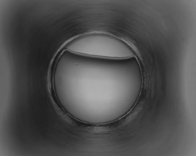 X0000099570984200805160722