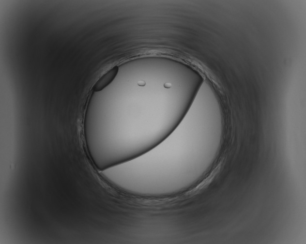 X0000099570985200805160722