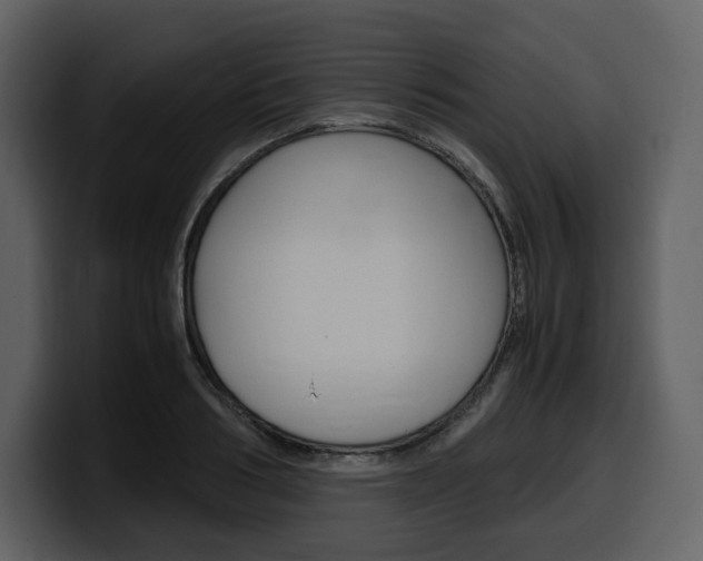 X0000099570986200805160722