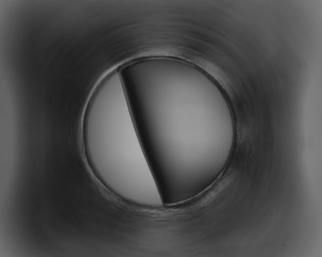 X0000099570988200805160722