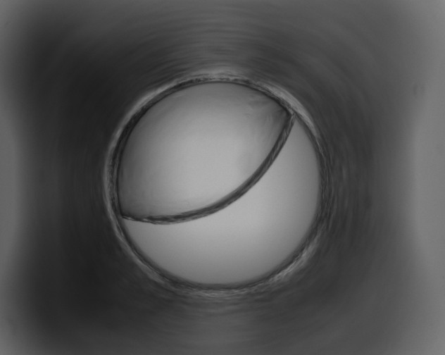 X0000099570989200805160722