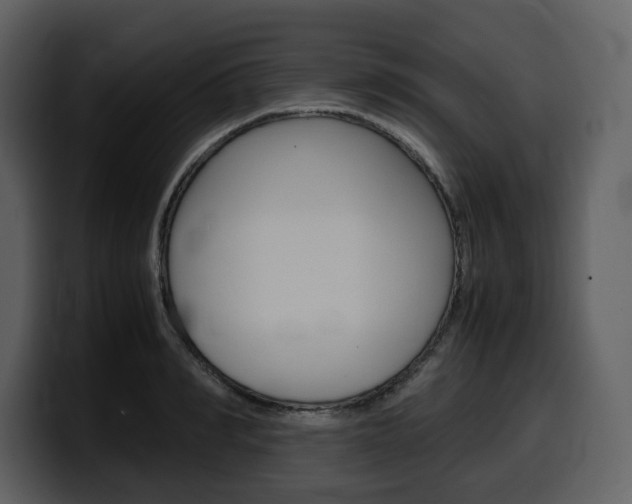 X0000099570990200805160722