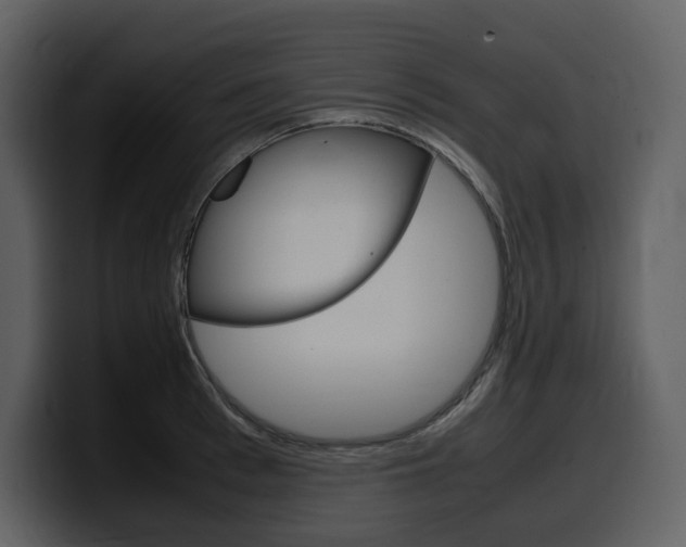 X0000099570993200805160722