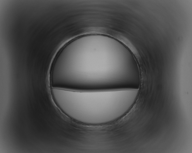 X0000099570996200805160722