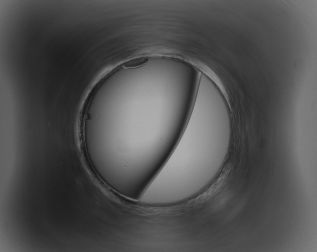 X0000099570997200805160722