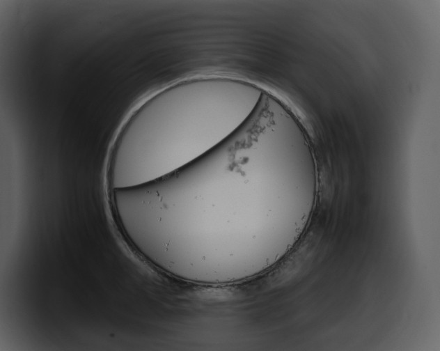X0000099570998200805160722