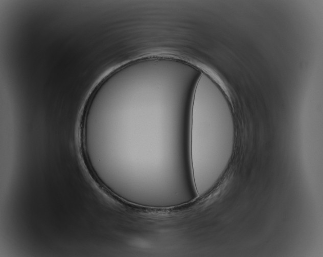 X0000099570999200805160722