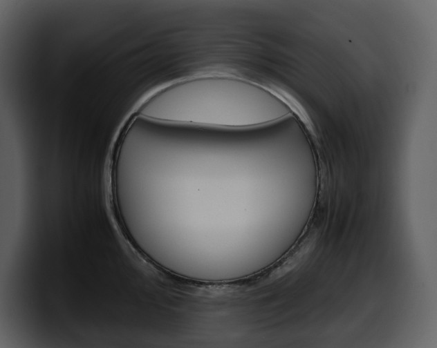 X0000099571000200805160722